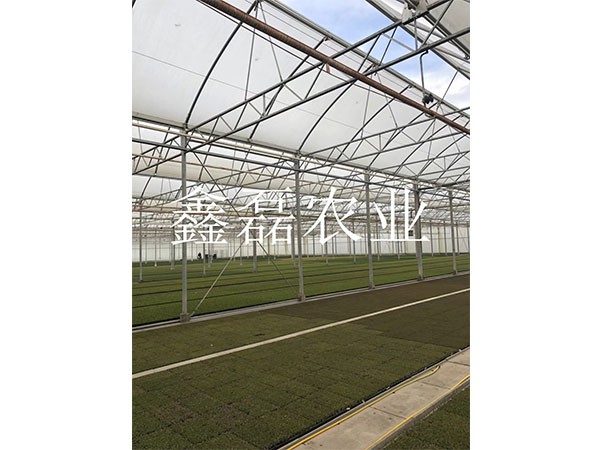 溫室頂開(kāi)窗